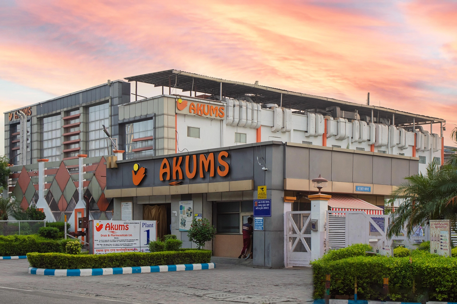 akums plant